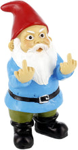 Load image into Gallery viewer, Mini Gnome Original DB Angle View